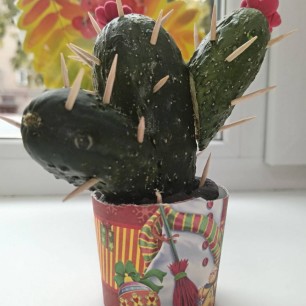 "Волшебный кактус"