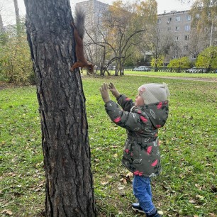 "Знакомство с белочкой"