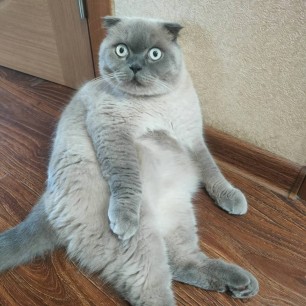 Хозяин жизни