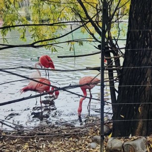 " Осень в Сибири"