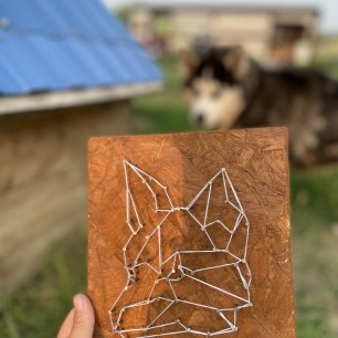 Сринг арт моей собаки хаски