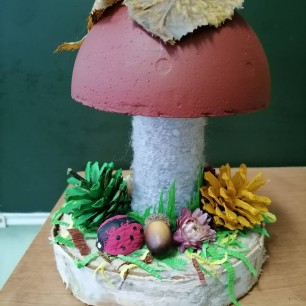 Лесная полянка.
