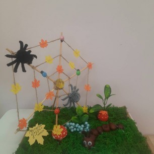 "Осенняя паутинка на болоте"