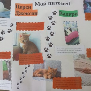 Мои питомцы-Перси Джексон и Валера
