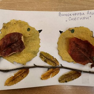 Снегири