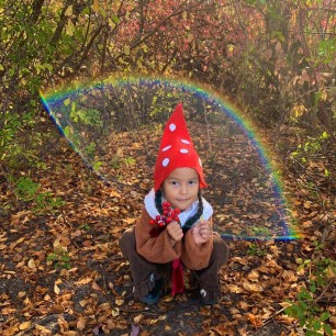 Осенний калейдоскоп