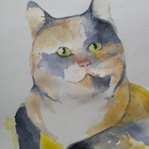 Моя любимая кошка"Машка"