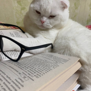 Мой любимый кот учёный