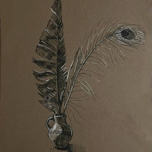 Сувениры из парка птиц