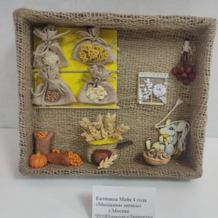 "Мышкины запасы"