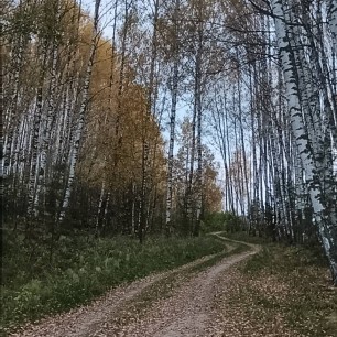 "Осенняя дорога"