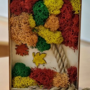 Краски Осени