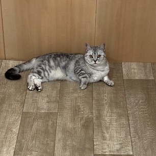 Любимая Джесси
