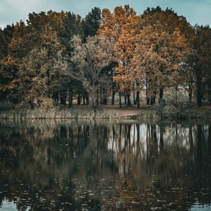 Есть осень первоночальная