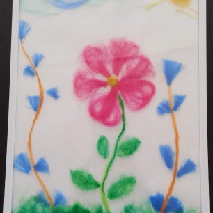 Полевые цветы