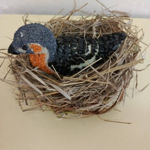 Птица России