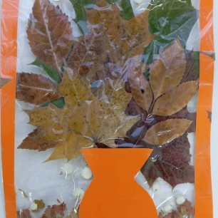 "Осенний букет"