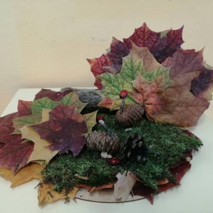 Осенняя поляна