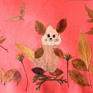 Беличьи хлопоты