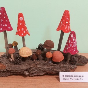 "Грибная поляна"