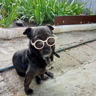 Годы идут…Я не молодею