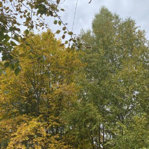 Осень пора - очей очарования!