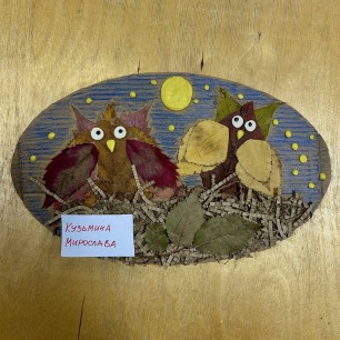 Совушки в гнезде