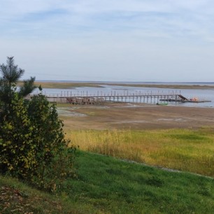 Обмелела Молога осенью