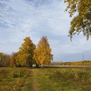 Осенние красоты природы