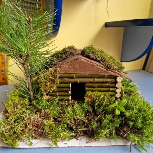 Лесная избушка