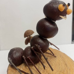 "Весёлая гусеница"