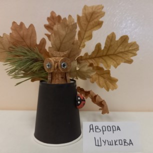 "Мудрая сова"