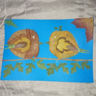 Птички Неразлучники