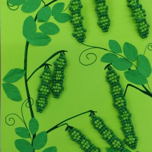 Мы посеяли горох...