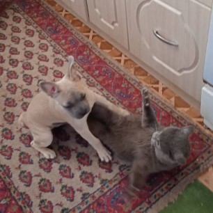 "Вместе весело играть"