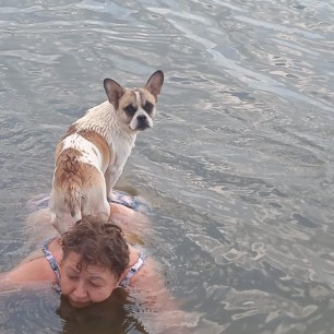 "Плыви, плыви "кораблик"