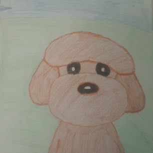 Мой питомец