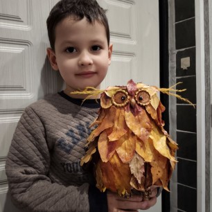 Сова очарование осени