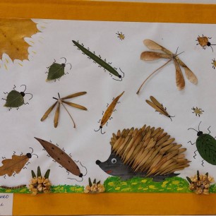 Насекомые и ёжик осенью в лесу.