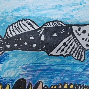 Обыкновенный подкаменщик