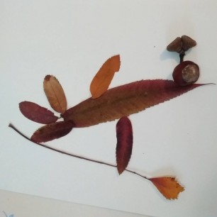 Попугай в осеннем парке.