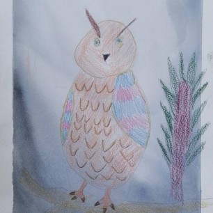 Сова на дереве сидела и во все глаза глядела