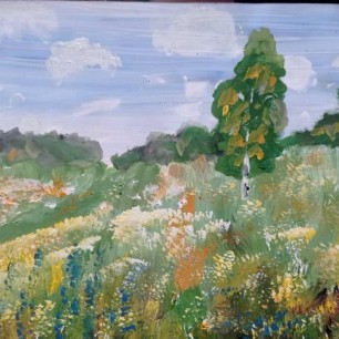 Родные просторы