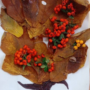 Осеннее дерево