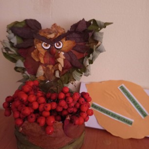 " Совушка-сова"