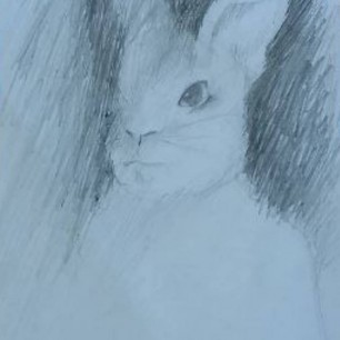 Белый кролик