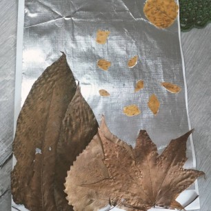 Листопад в осеннем лесу