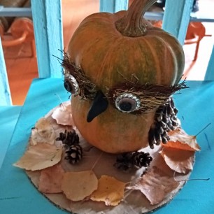 "Совушка-умная головушка"