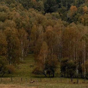 Золотая осень