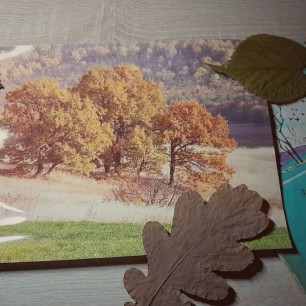 Осенние листья на столе